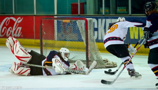 Guildford Lightning Vs Sheffield Shadows