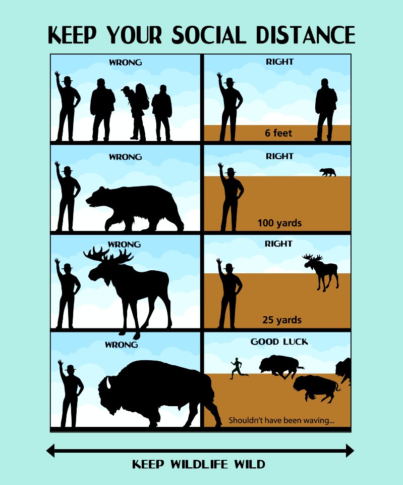 Social Distance Wildlife Safety Poster
