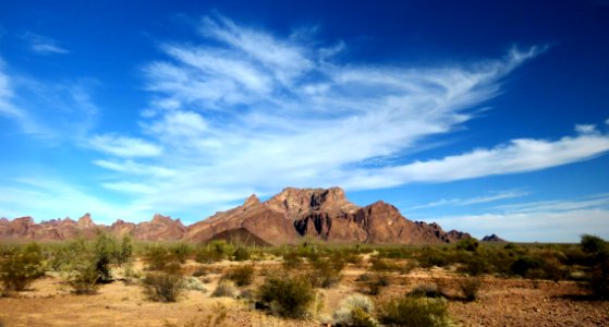 PALM CYN ROAD CAMPSITE, Kofa Game Range, La Paz Co, AZ (3-16-2018) -01 photo