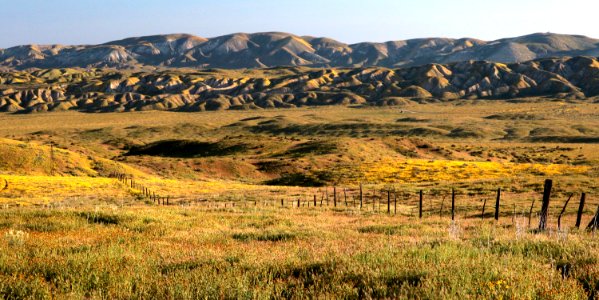 PADRONNES SPRINGS ROAD AREA, Carrizo National Monument, San Luis Obispo Co, CA (4-9-2019)