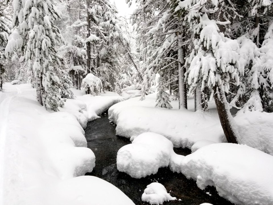 Spring Creek