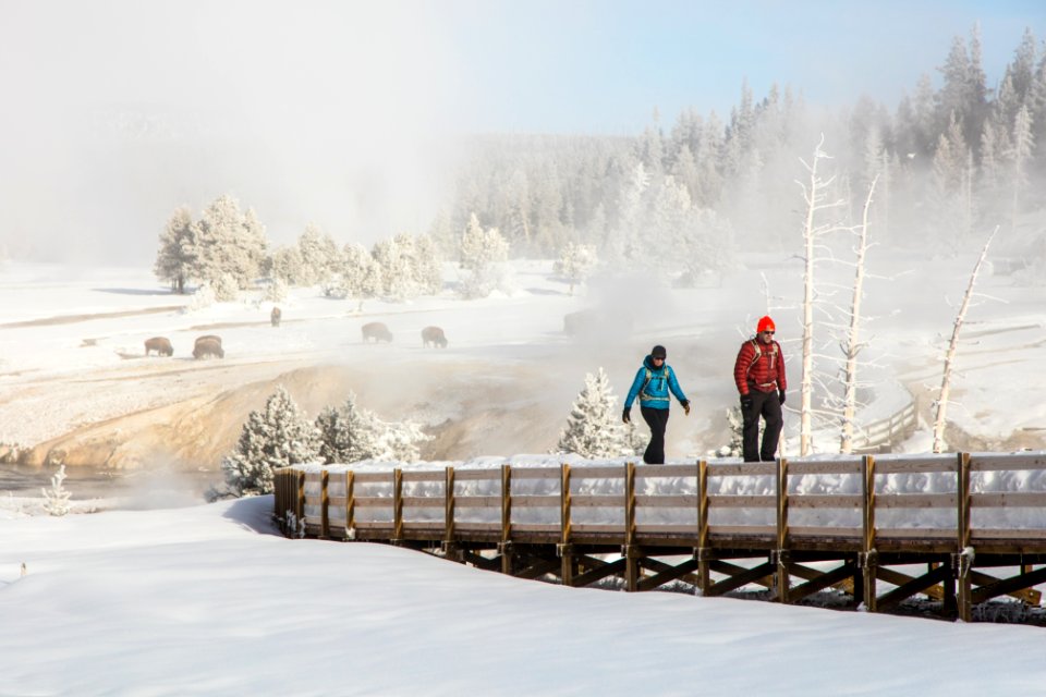 Exploring the boardwalks near Castle Geyser