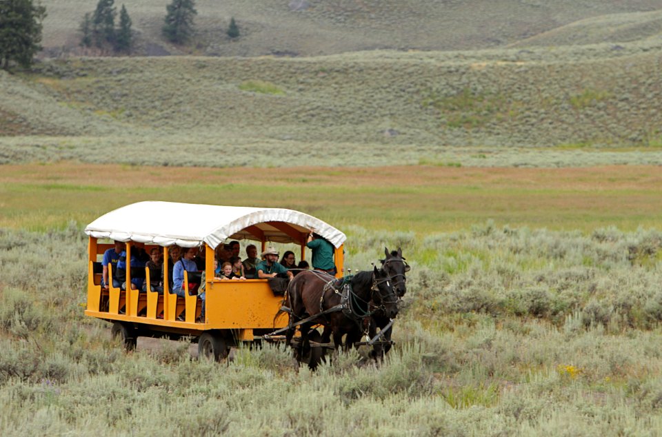 Old West Dinner Cookout wagon on Yancey's Hole trail
