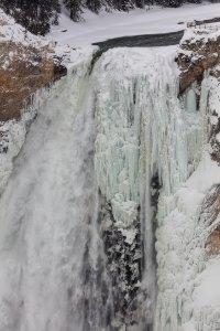 Frozen Lower Falls portrait photo