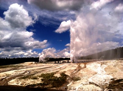 Simultaneous eruptions of Beehive and Lion geysers photo