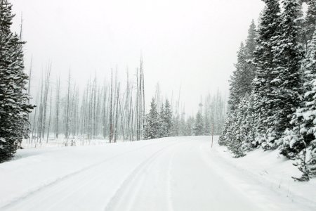 North of Roaring Mountain