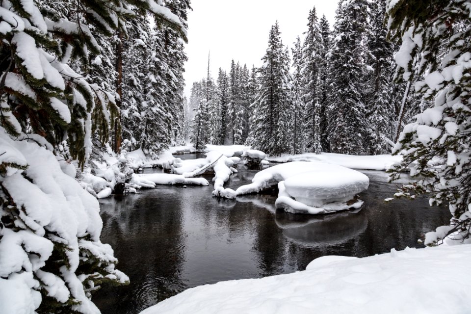 Firehole River along the Lone Star Geyser Trail (2)