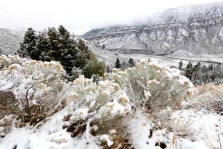 First snow of the fallseason in Mammoth photo