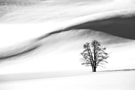Snow dunes, Hayden Valley photo