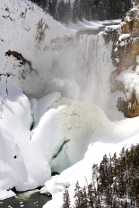 Lower Falls of the Yellowstone photo