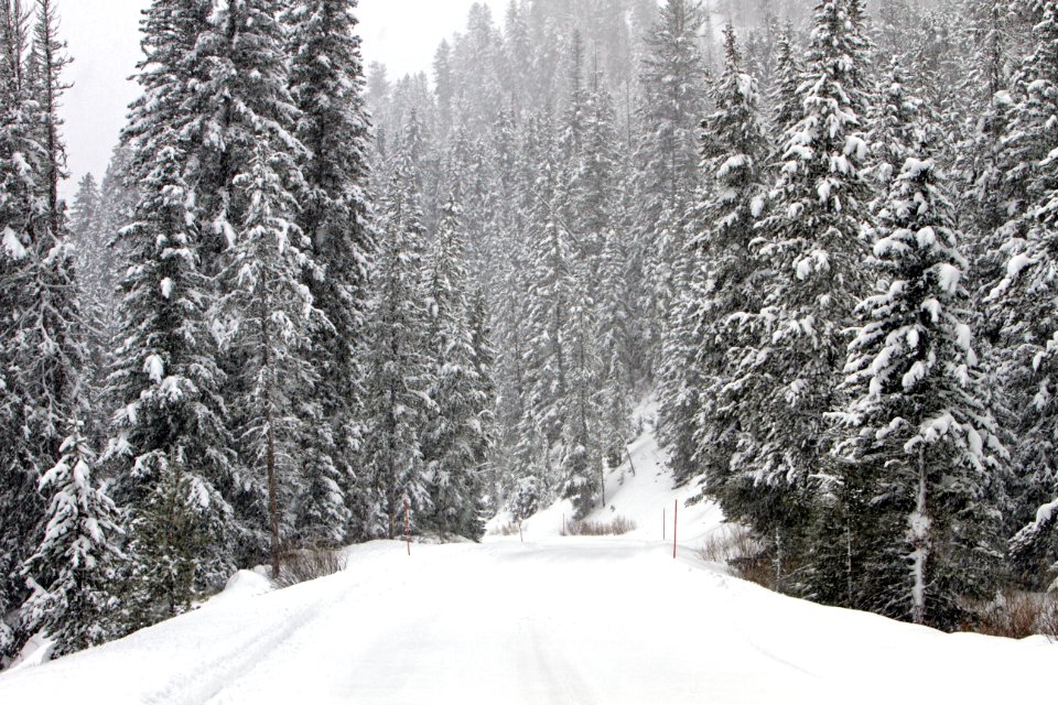 Snow covered road near Pebble Creek