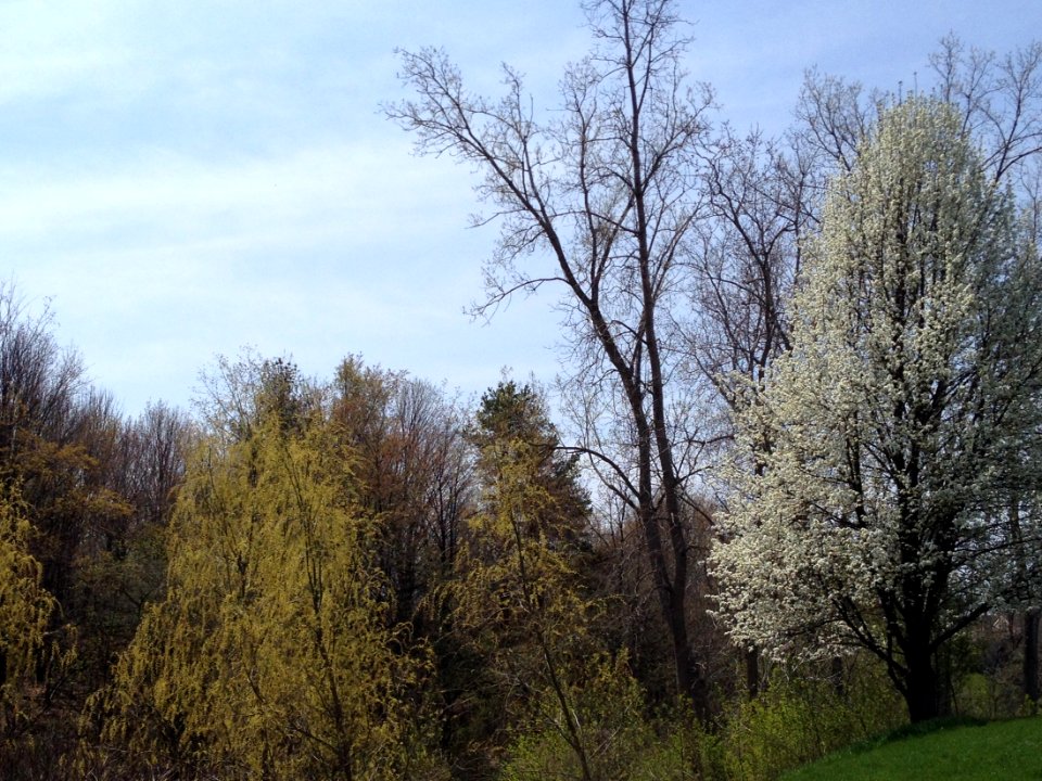 Submitted by Cindy Krueger