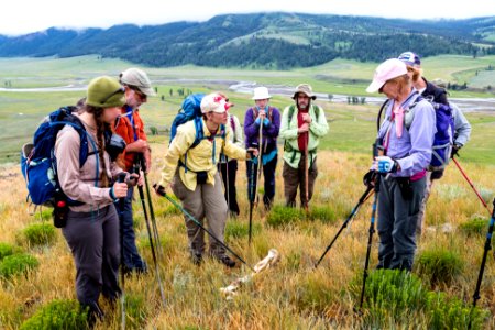 Hikers find bison bones in Lamar Valley