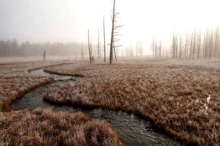 Foggy morning at Tangled Creek photo