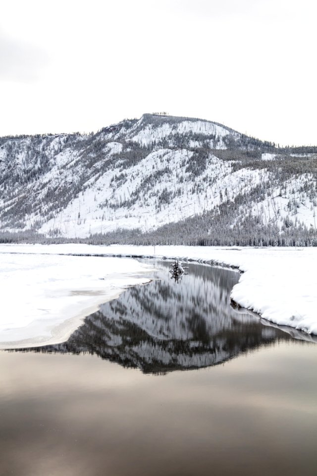 Mt. Haynes reflected in the Madison River portrait