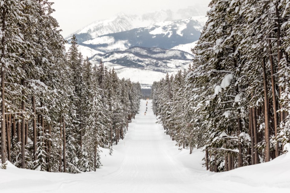 Snowmobiles riding the park road with the Tetons in the background (2)