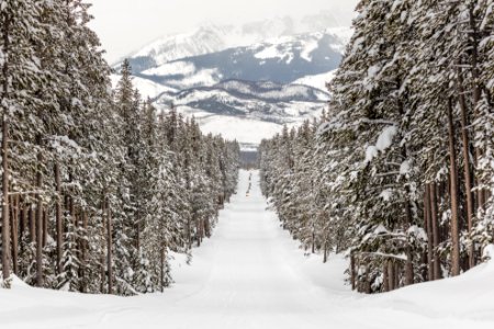 Snowmobiles riding the park road with the Tetons in the background (2) photo