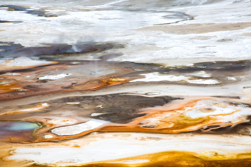Thermophiles, Norris Geyser Basin