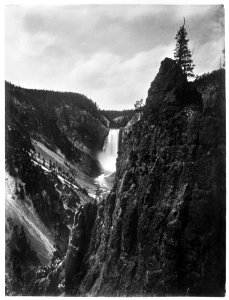 Lower Falls of the Yellowstone River