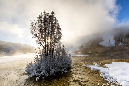 Sunrise at Mammoth Hot Springs