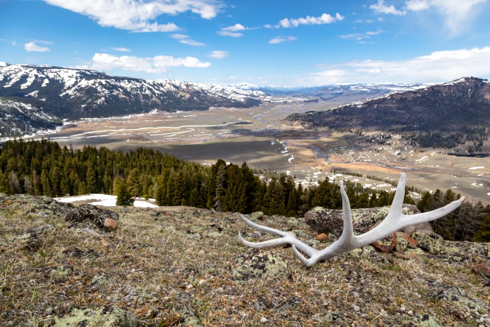 Overlooking the Soda Butte Creek and Lamar River confluence photo