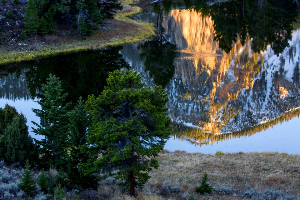 Bunsen Peak Reflected