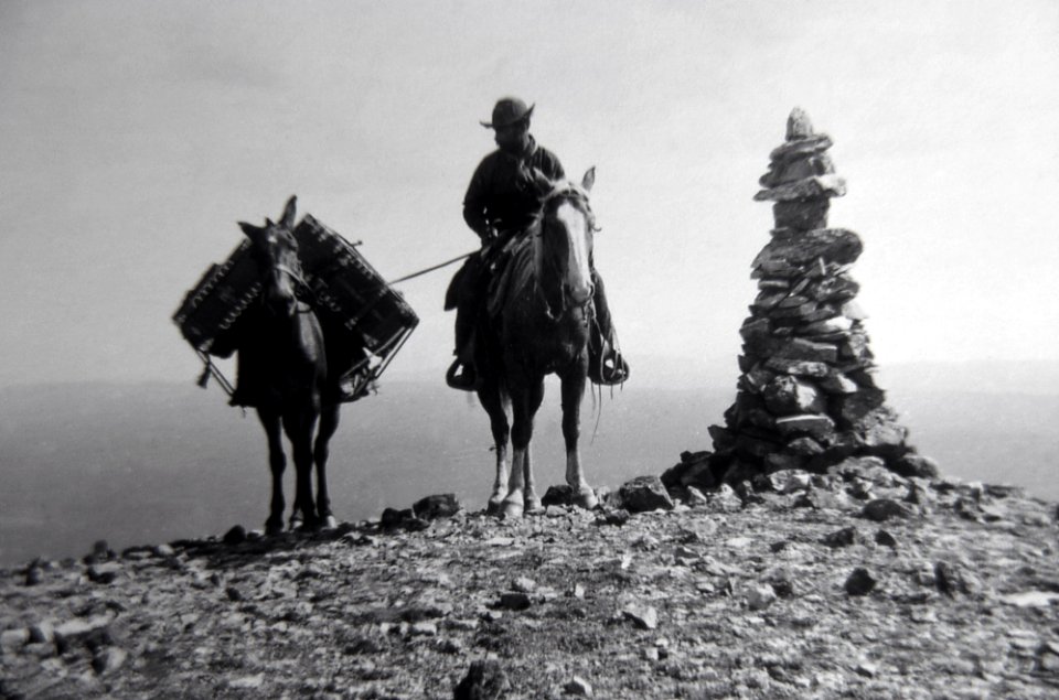 William Henry Jackson on Mt. Washburn