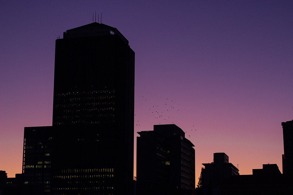 City sky cityscape