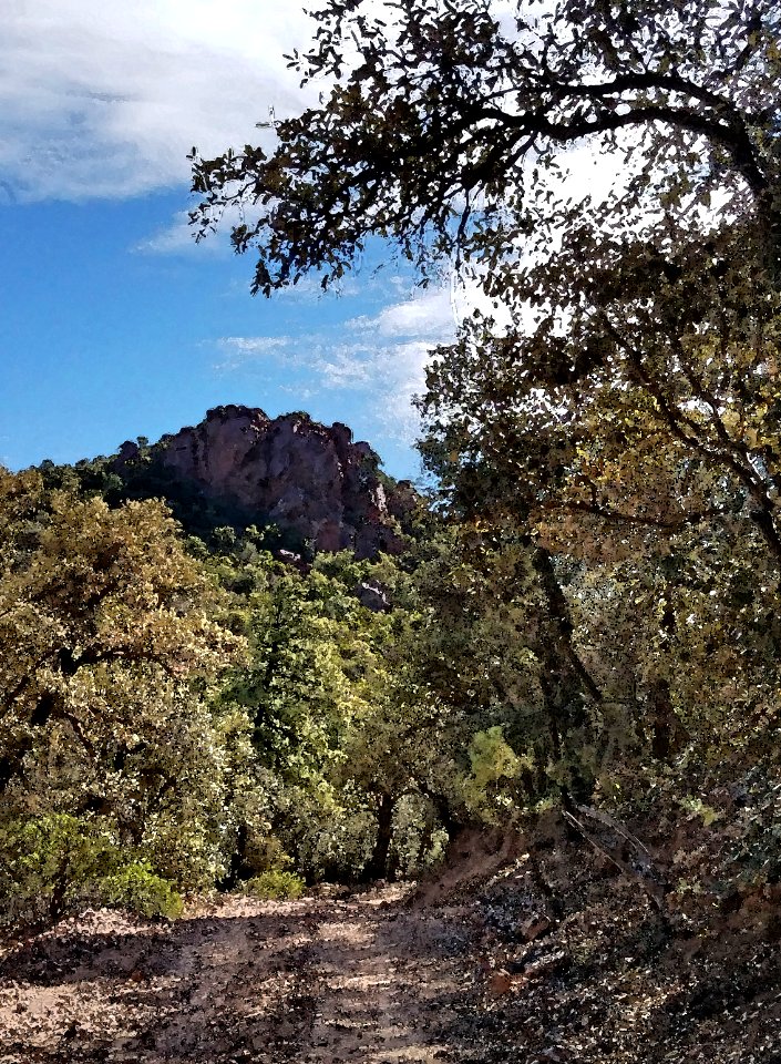 HUMBOLDT CANYON ACCESS ROAD (4-19-2018) -02 WATERCOLOR