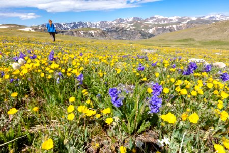 Exploring the tundra along the Beartooth Highway