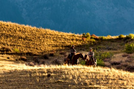 Park rangers patrol the hills above the event