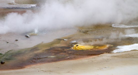Thermal features in Porcelain Basin at Norris Geyser Basin