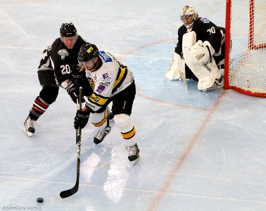 Bracknell Bees Vs Basingstoke Bison