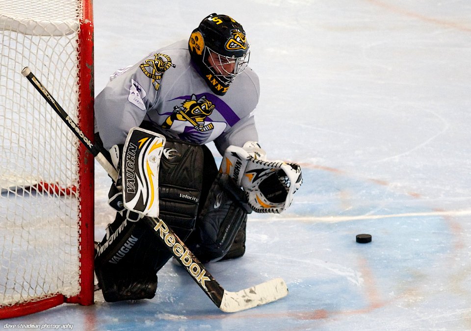 Bracknell Bees Vs Basingstoke Bison