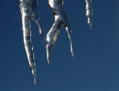 Icicles on a bright day photo