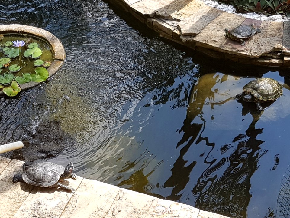 20180806 133544