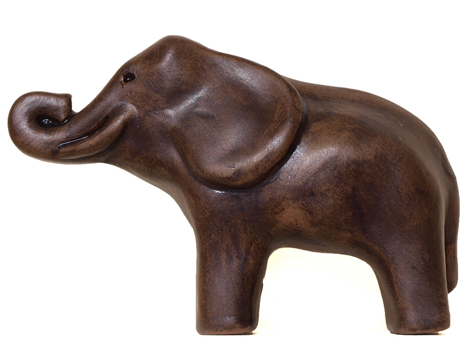 Pachyderm proboscis animal