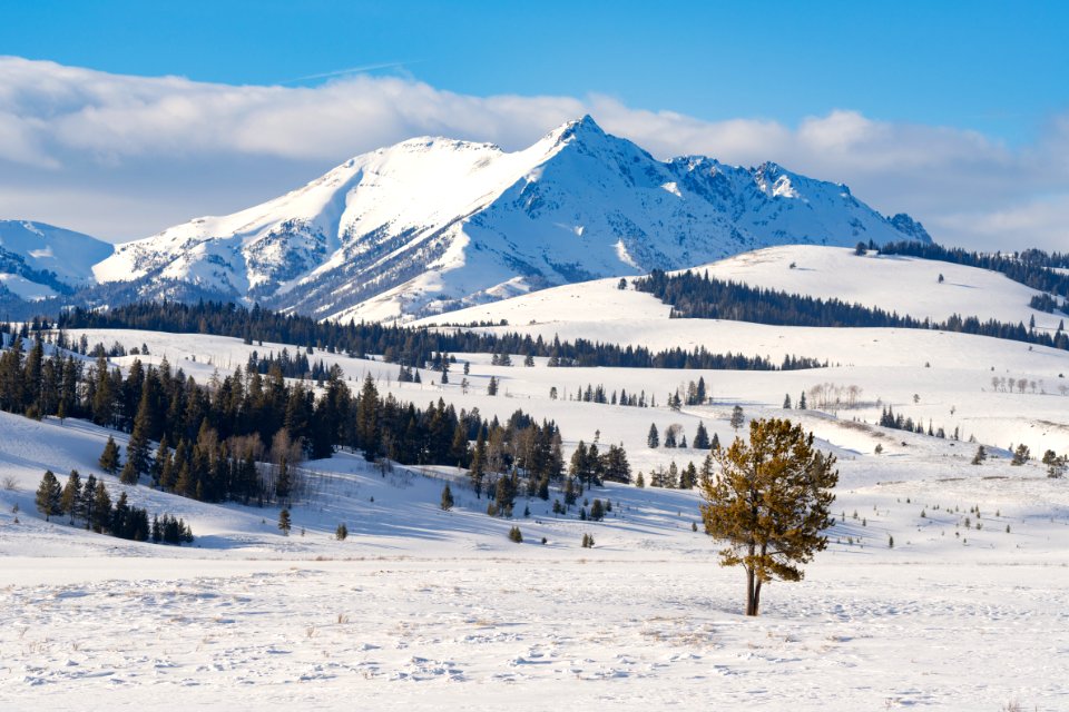 Electric Peak rises above Swan Lake Flat