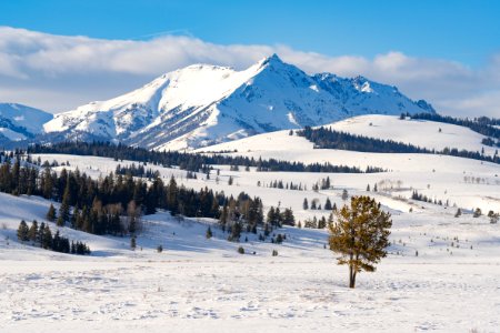 Electric Peak rises above Swan Lake Flat