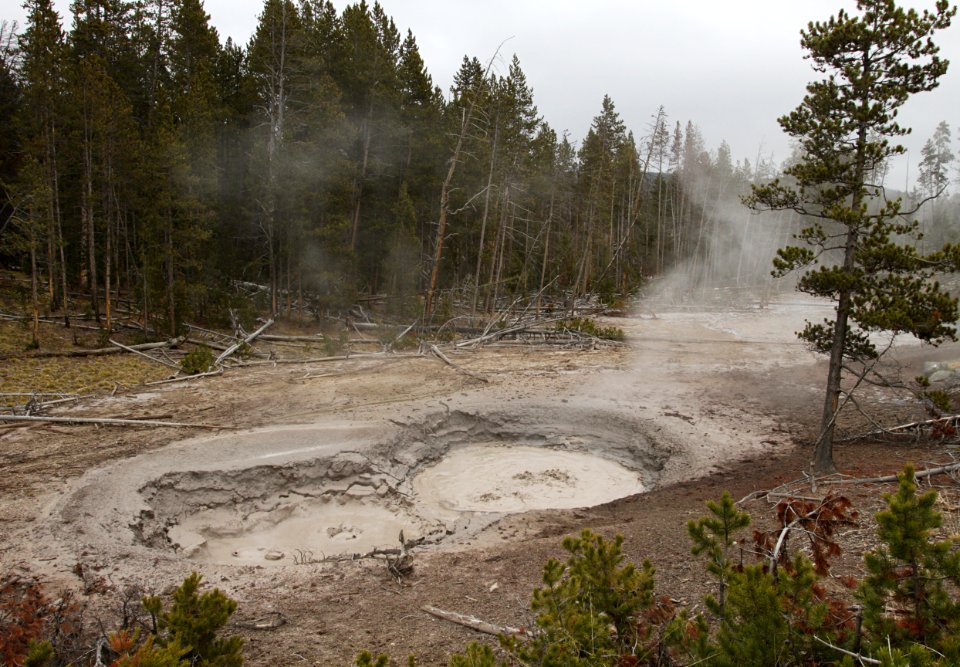 Mudpots in Mud Volcano area