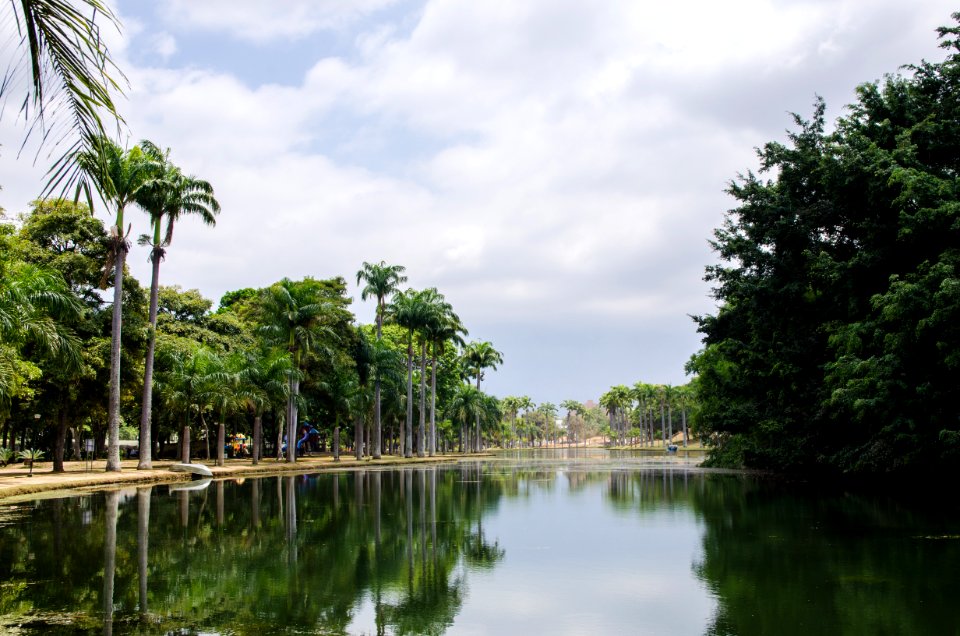 Paseo El Laguito - Caracas photo