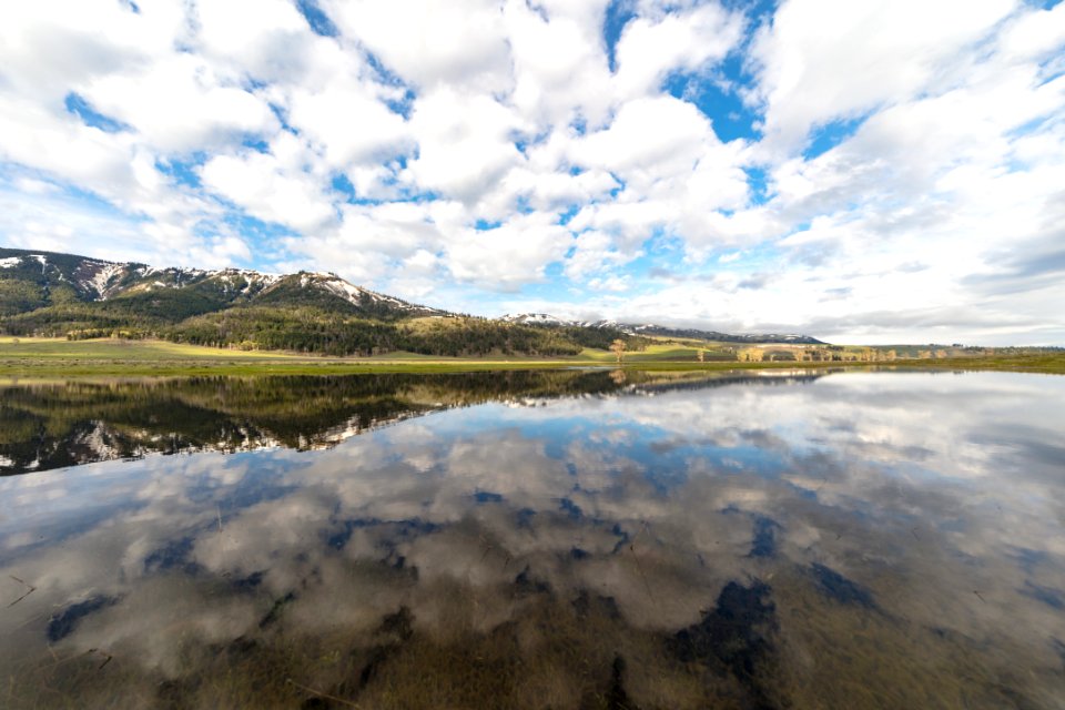 Reflections in Lamar Valley