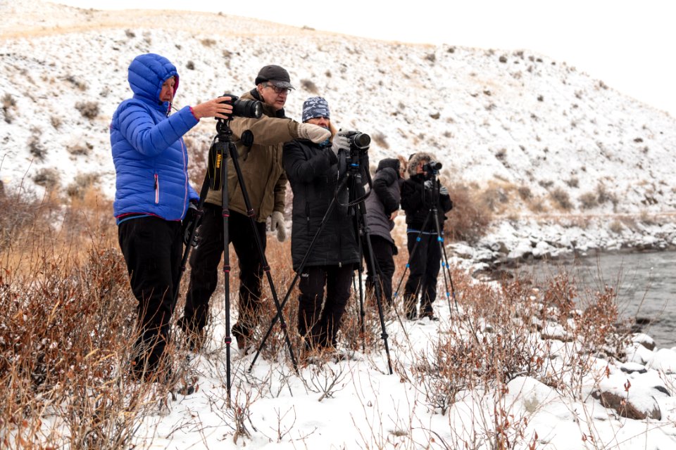 Yellowstone Forever winter photography course