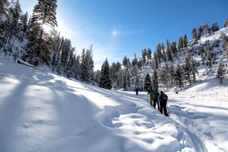 Skiers on the Lost Lake Ski Trail photo
