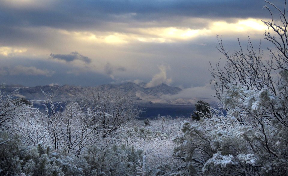 VIEW FROM THE HEREFORD HOUSE - 008 (12-28-2018) -06