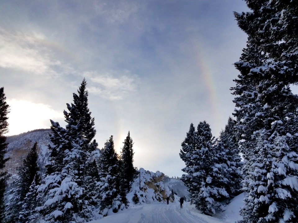 Skiers at Hoodoos with 22 degree halo and supralateral arc.