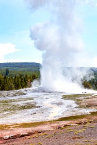 A raven and an Old Faithful eruption photo