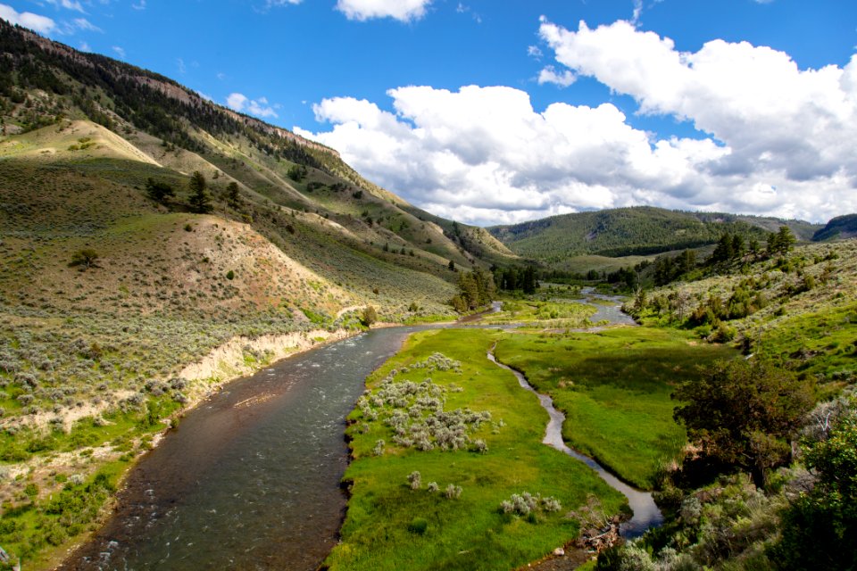 Views of the Gardner River from the Lava Creek Trail