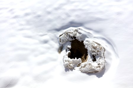 Patterns and textures in West Thumb Geyser Basin photo