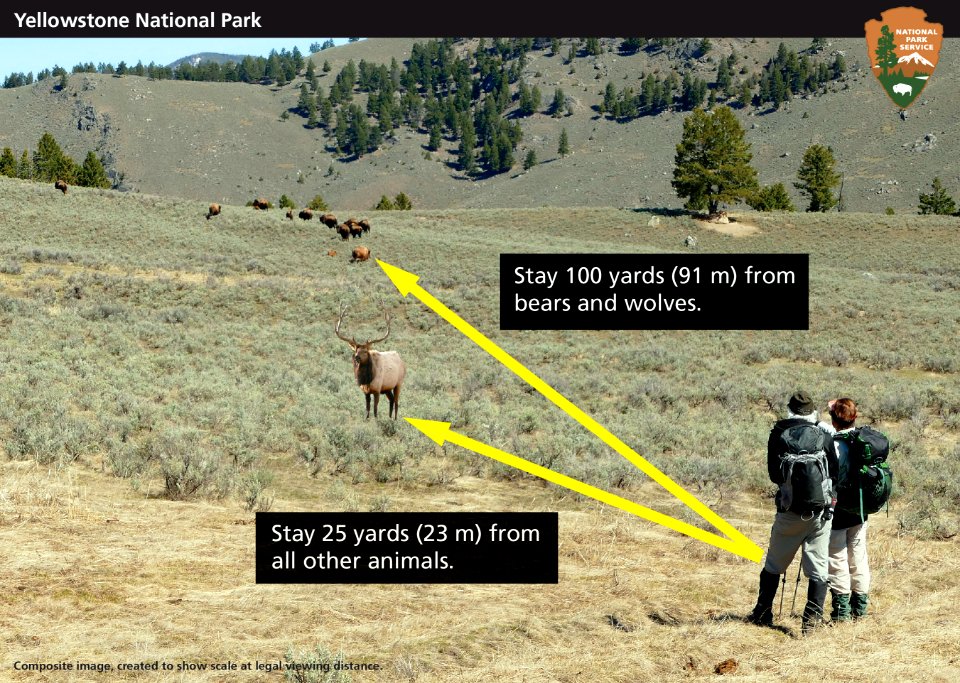 Wildlife safety distance composite